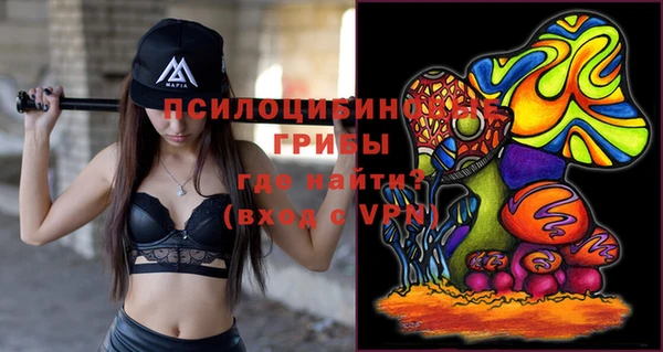 не бодяженный Новодвинск
