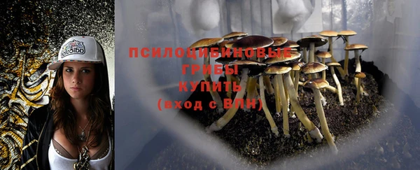 не бодяженный Новодвинск